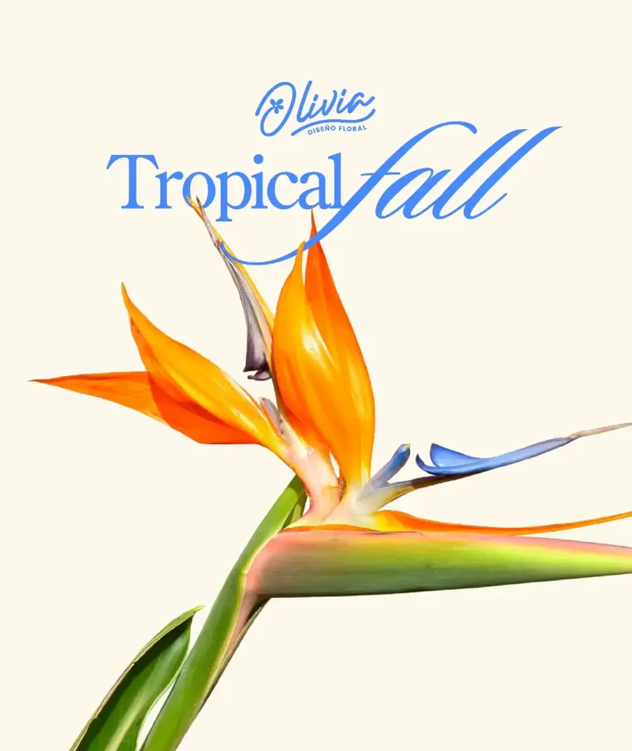 Colección Tropical Fall de Olivia Diseño Floral